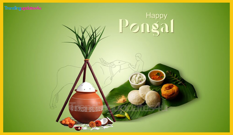 Pongal