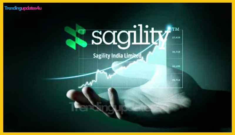 Sagility India Financial Performance