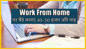 Work From Home घर बैठे कमाएं 40-50 हजार प्रति माह