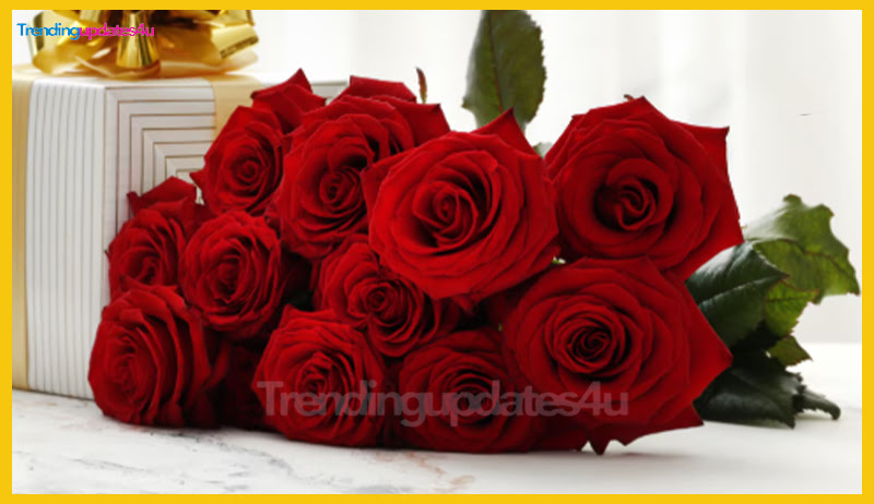 Celebrate Rose Day