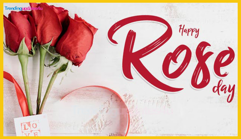 Happy Rose Day Messages