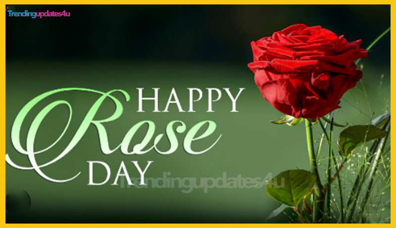 Happy Rose Day