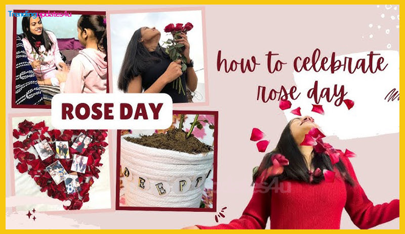 How to Celebrate Rose Day