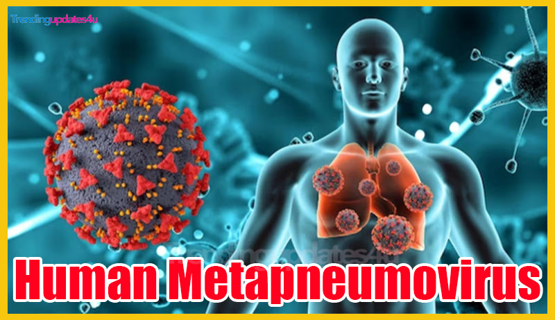 Human Metapneumovirus