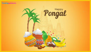 Pongal