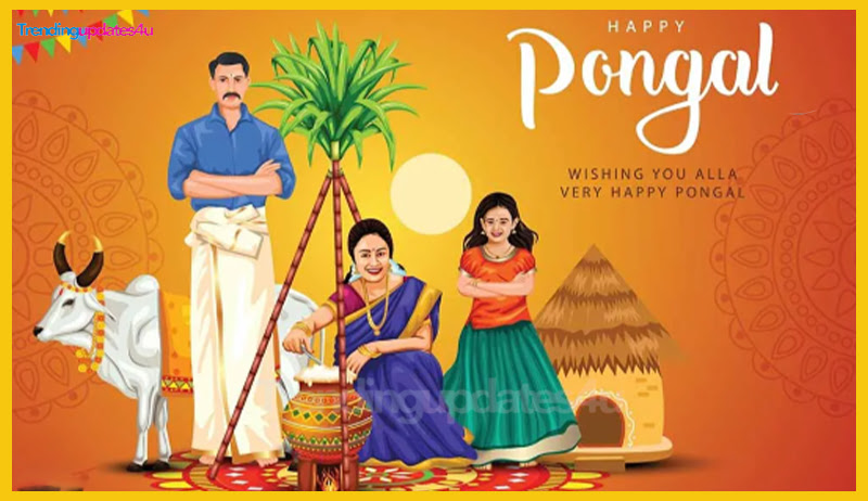 Pongal Celebrations and Rituals