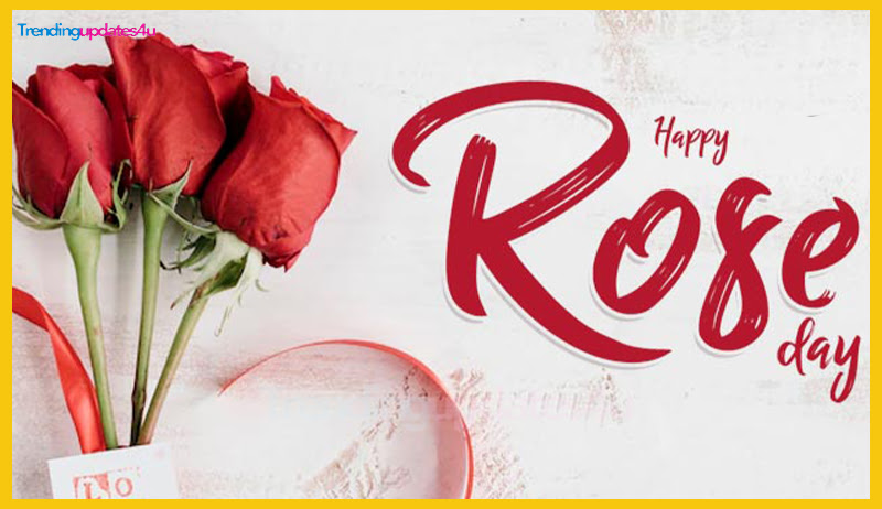 Rose Day Date