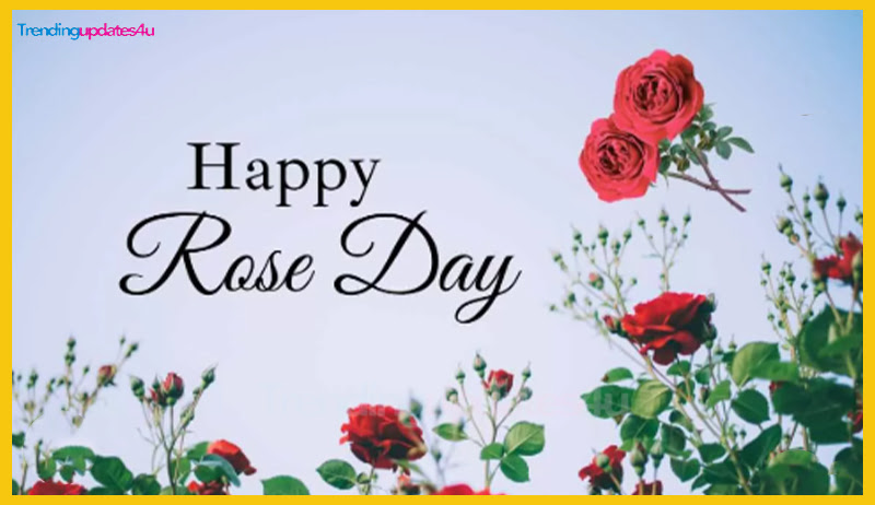 Rose Day Quotes