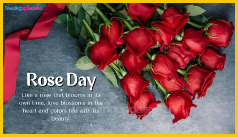 Rose Day Wishes