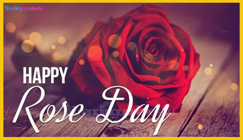Rose Day
