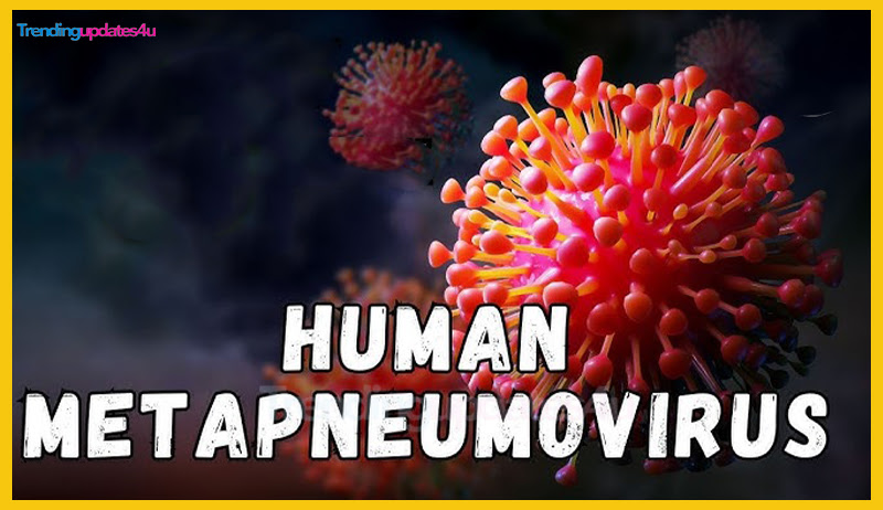 What is Human Metapneumovirus (HMPV)