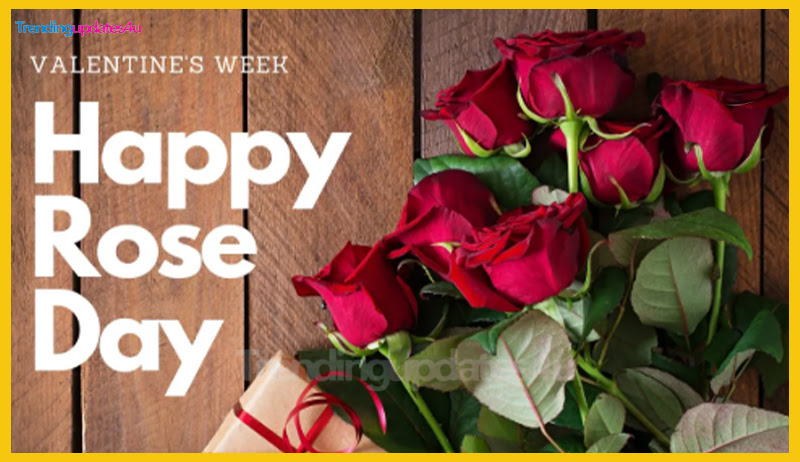 Why Do We Celebrate Rose Day