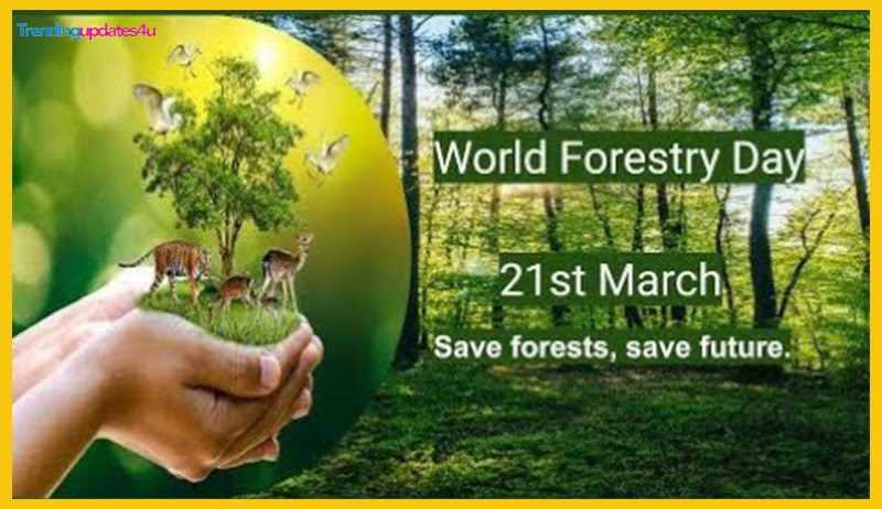 World Forestry Day