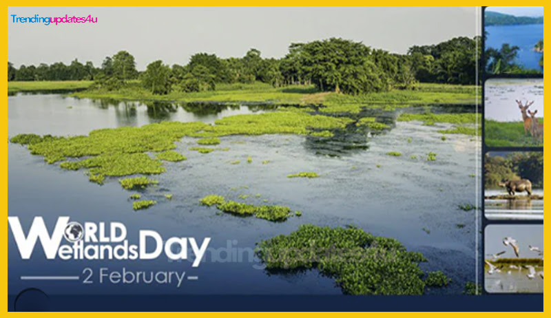 World Wetlands Day